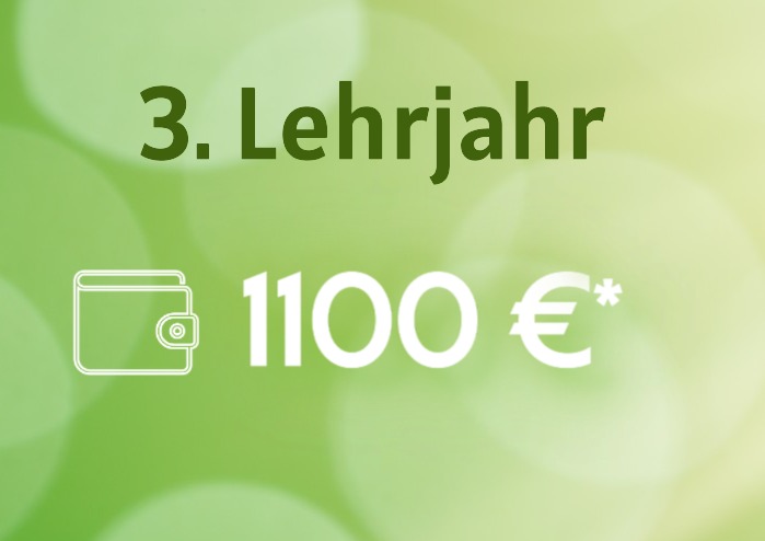 3.Lj.JPG