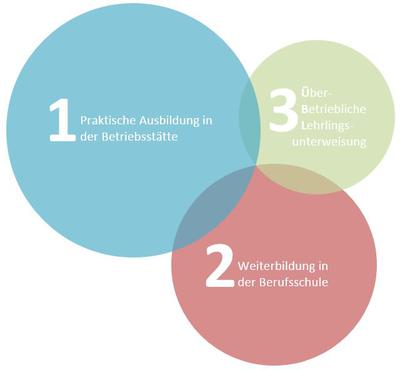 Die_drei_Bausteine_der_Ausbildung_zum_Orthopaedie-Schuhtechniker